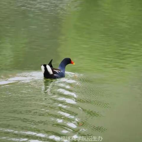 第四周与您沟通