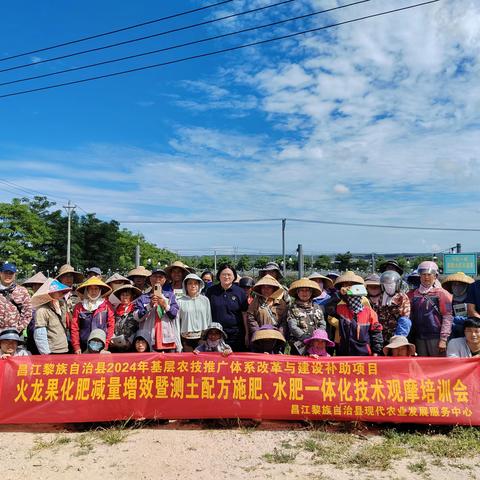 昌江县现代农业发展服务中心在尚岭火龙果基地举办火龙果化肥减量增效暨测土配方施肥、水肥一体化技术观摩培训会