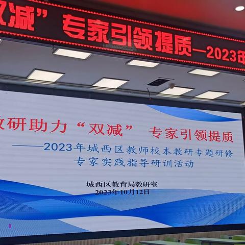 教研助力“双减”  专家引领提质 2023城西区教师校本教研专题研修专家实践指导研训活动（五）