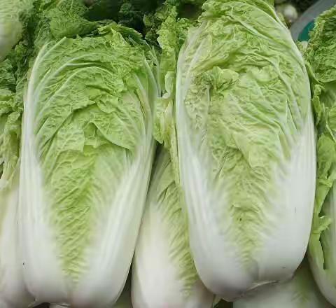 2023年10月14日佳品购物今日特价﻿有以下@👍👍