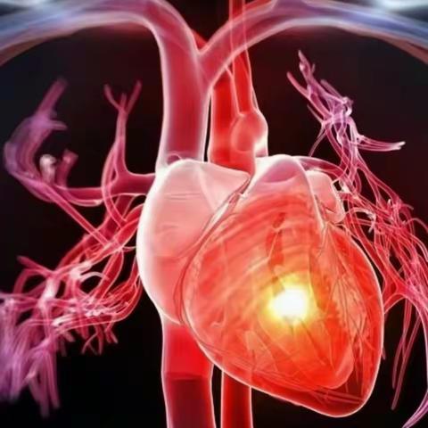 如何养护你的小心脏？