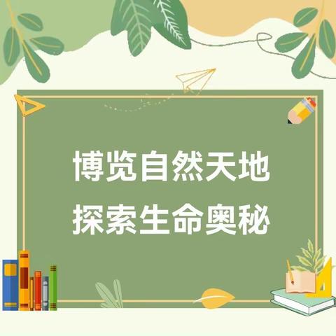 【碑林教育】博览自然天地  探索生命奥秘——乐居厂小学开展博物馆进课堂系列活动