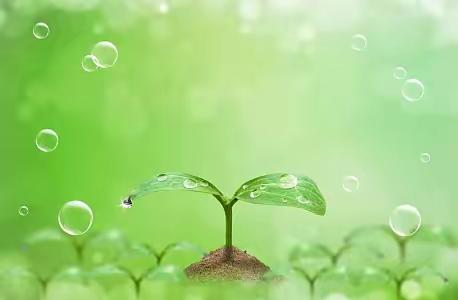 万物有灵，待你唤醒