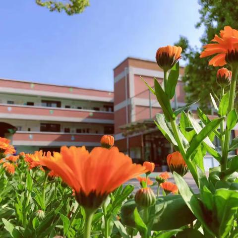 🌱走进小学，快乐体验! ——塞幼大班年级参观小学活动