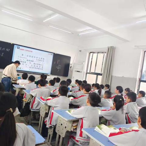 深耕教学绽风采，潜心教研共成长——赵堤镇邓楼中心小学、小渠小学第二轮语文听评课活动