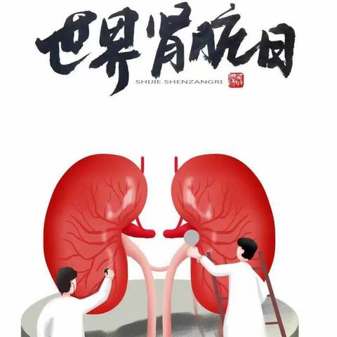 你的肾脏，我来守护
