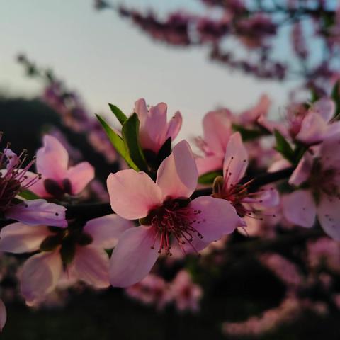 慎终追远，安全同行——X2306班第6周爱心播报