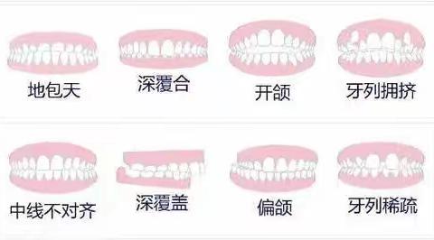 暑假，爱孩子，从“齿”开始！