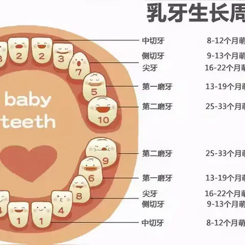 宝爸宝妈看过来——儿童换牙期小指南！