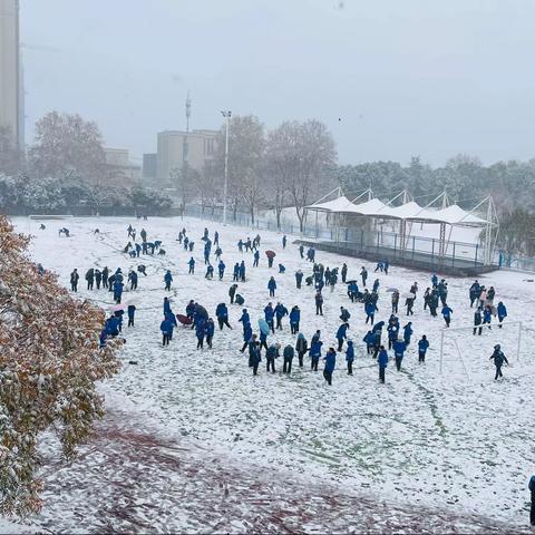 【尚真华电】和你一起，遇见华电校园的这场雪！——致七年级家长的第八封信