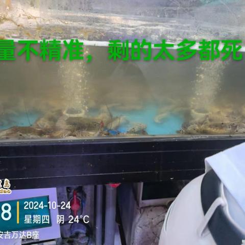 10月安吉店巡店待整改照片