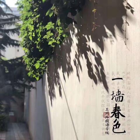 春风化雨润教研，砥砺前行促成长——记理化生组第八周教研活动