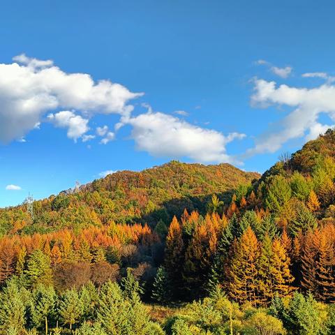 醉美秦岭山，七彩黄柏塬