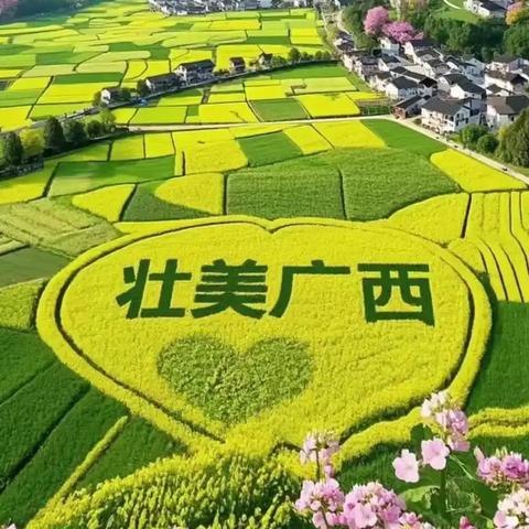 广西“撞死四只鸡”