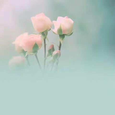 10月第1周信用卡职场营销情况