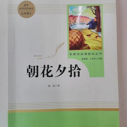 书香润心 读书伴我行——临西县新教育学校开展24秋季同读“一本书”评比活动