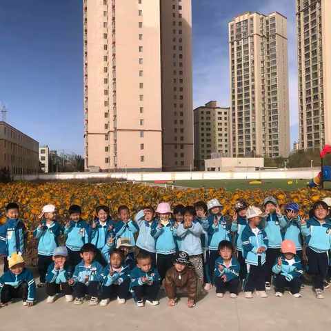 向阳而生    一路生花