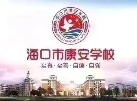 共研数学课堂，聚力高效备考——康安学校“教研专项帮扶”活动纪实