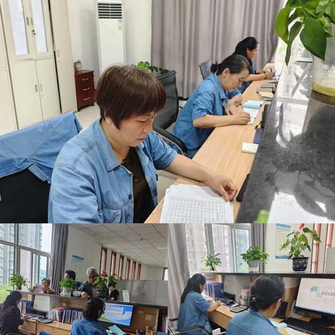 新兴新康物业本周工作动态