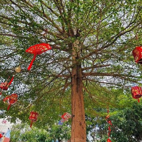 显学生主体   扬教师个性 ——陵水县中山小学教育集团四年级语文组公开课活动