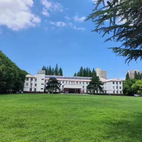 生命的守护者——助产士