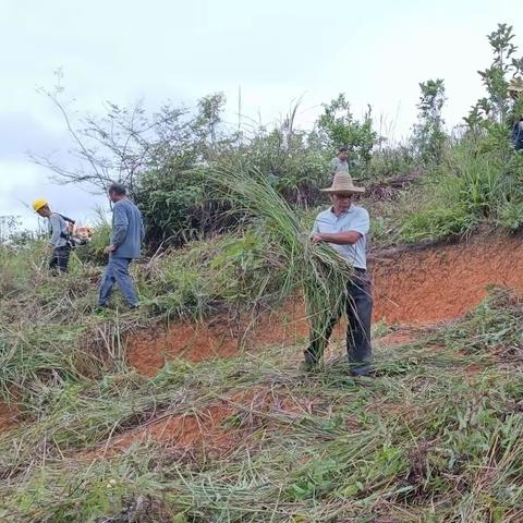 筑牢朱砂绿色屏障，加速推进山体生态修复，实现绿化全覆盖