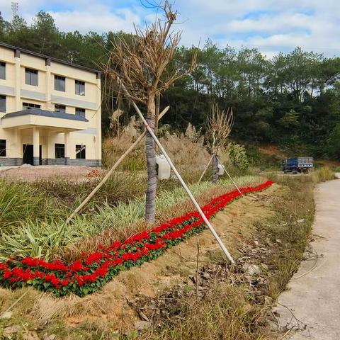 朱砂：整治“不降温”，全力提“颜值”