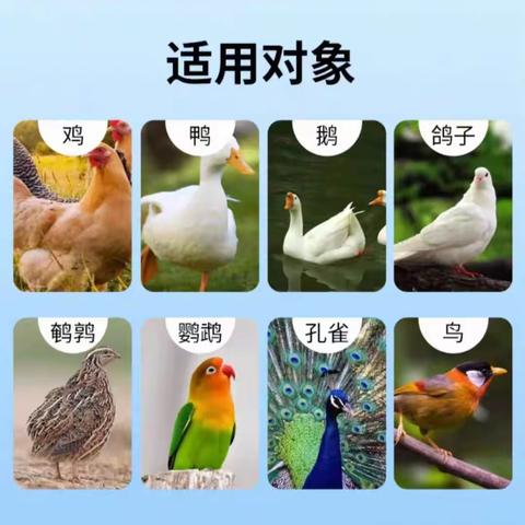 加强型蛋黄金           助力鸡产蛋多、产蛋重，蛋壳美、产蛋周期长