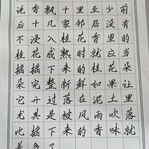 锤炼书法    精进师技-------左店中心小学