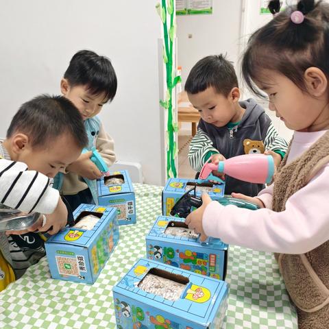 蘑菇趣事——小一班主题活动
