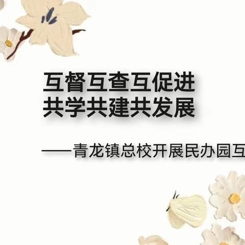 互督互查互促进  共学共建共发展 ——青龙镇总校开展民办园互查活动