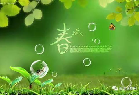 亲近自然，感受春天