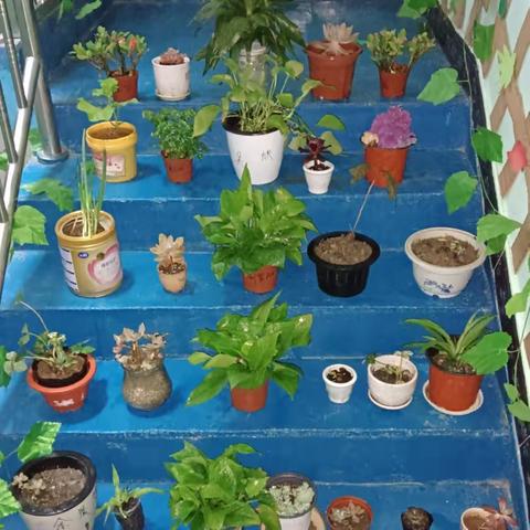 手植春光 万物盎然