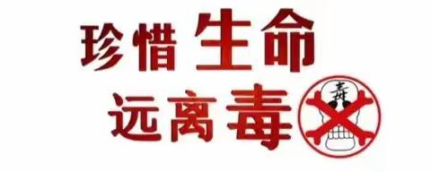 阳光新城第二社区开展“禁毒宣传进社区 无毒意识入民心”活动