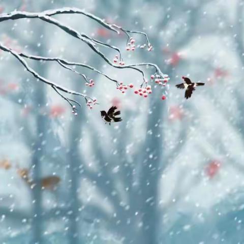 七彩梦乐研幼儿园中二班