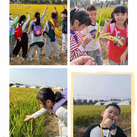 【青年人才·研学】 不负秋日 一路童行 人才家园小学一年级研学活动