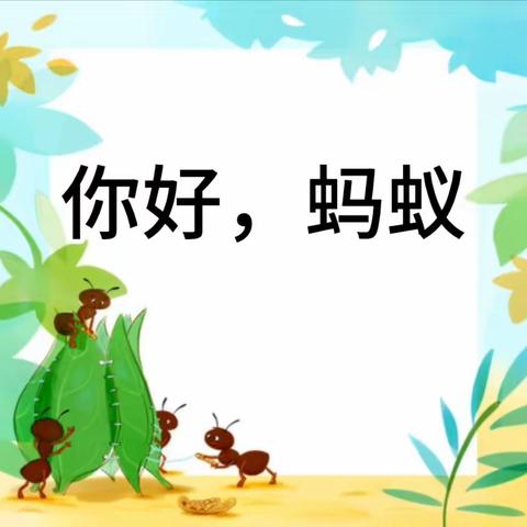 【皮山县皖疆幼儿园】中一班课程活动——你好，蚂蚁