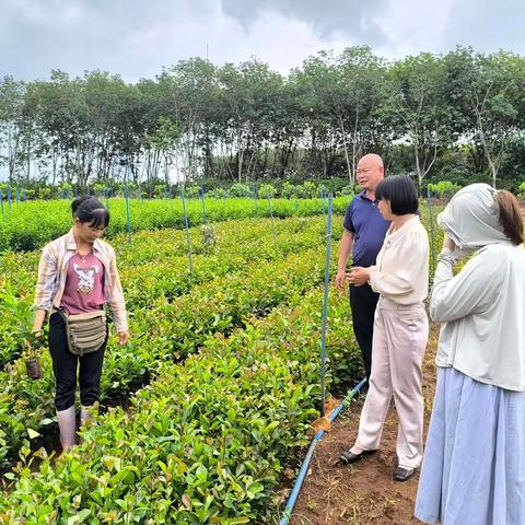 三门坡镇乡村振兴工作队持续赋能 为和美乡村添“油”增绿