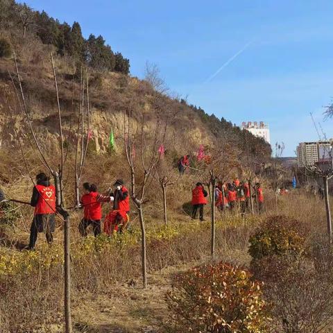 青年路街道史家河社区开展 “春风送暖 绿色社区”植树节活动