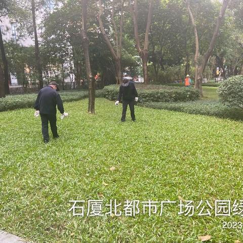 深圳市信邦虫害防治有限公司