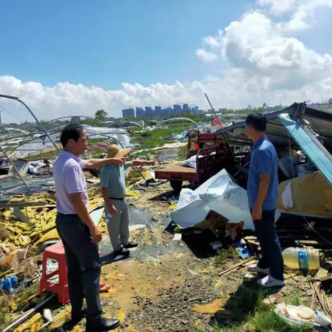 海口市民政局到桂林洋经济开发区调研民政领域灾后救助工作