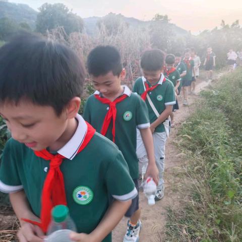 秋日寻趣 挖薯寻秋 ——广丰实小三5中队田野实践乐翻天