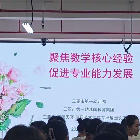 三亚市第八幼儿园教师参加“聚焦核心经验，促进教师专业能力的发展”活动简报