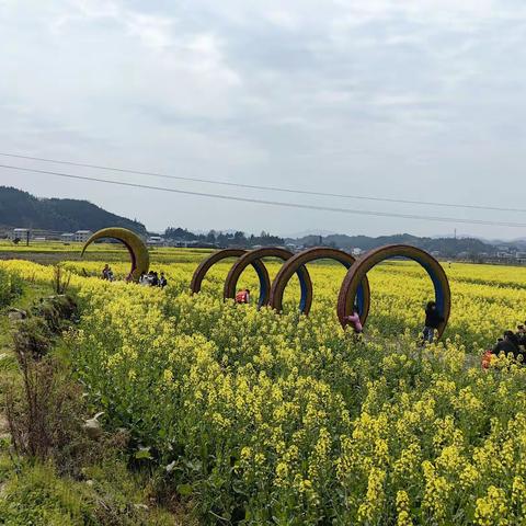 喜迎"两会"，团结一心，共建美好林中——林城镇中学开展庆祝“三八”妇女节系列活动