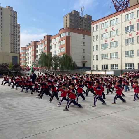 龙泉小学武术社团