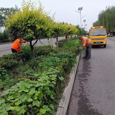 涉县公路‖持续整治路域环境