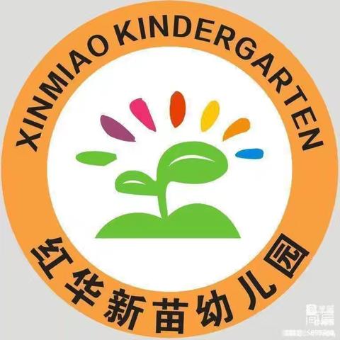 红华新苗幼儿园《暑假安全教育》