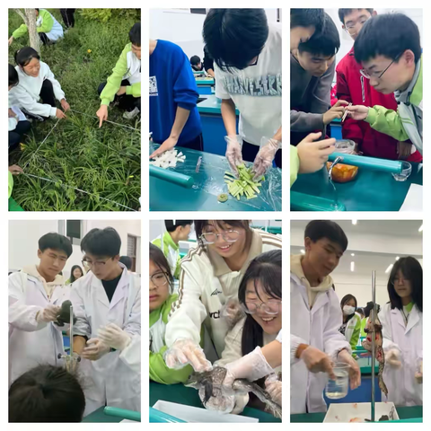 校本课程，绽放青春活力