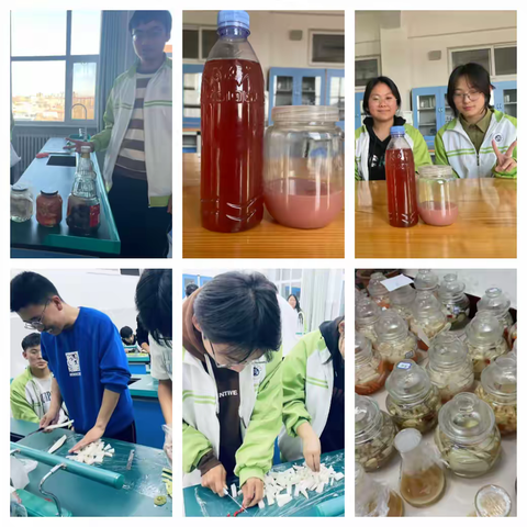 生物实践与探索：微观世界里的奇妙成果绽放