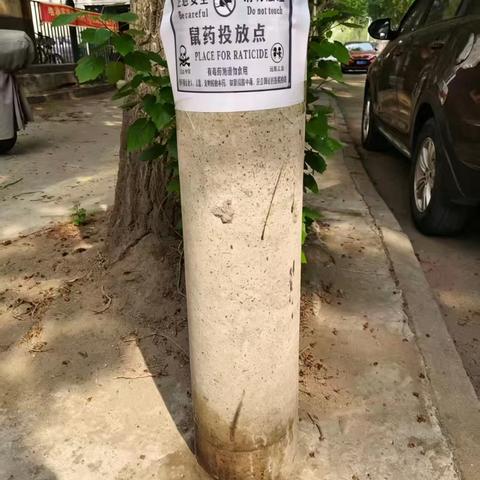 筑牢防鼠屏障 共建宜居社区 ----北群社区常态化灭鼠行动